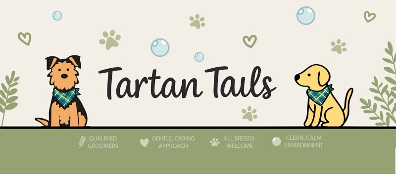 Illustrated dog and bubbles from the Tartan Tails brand artwork